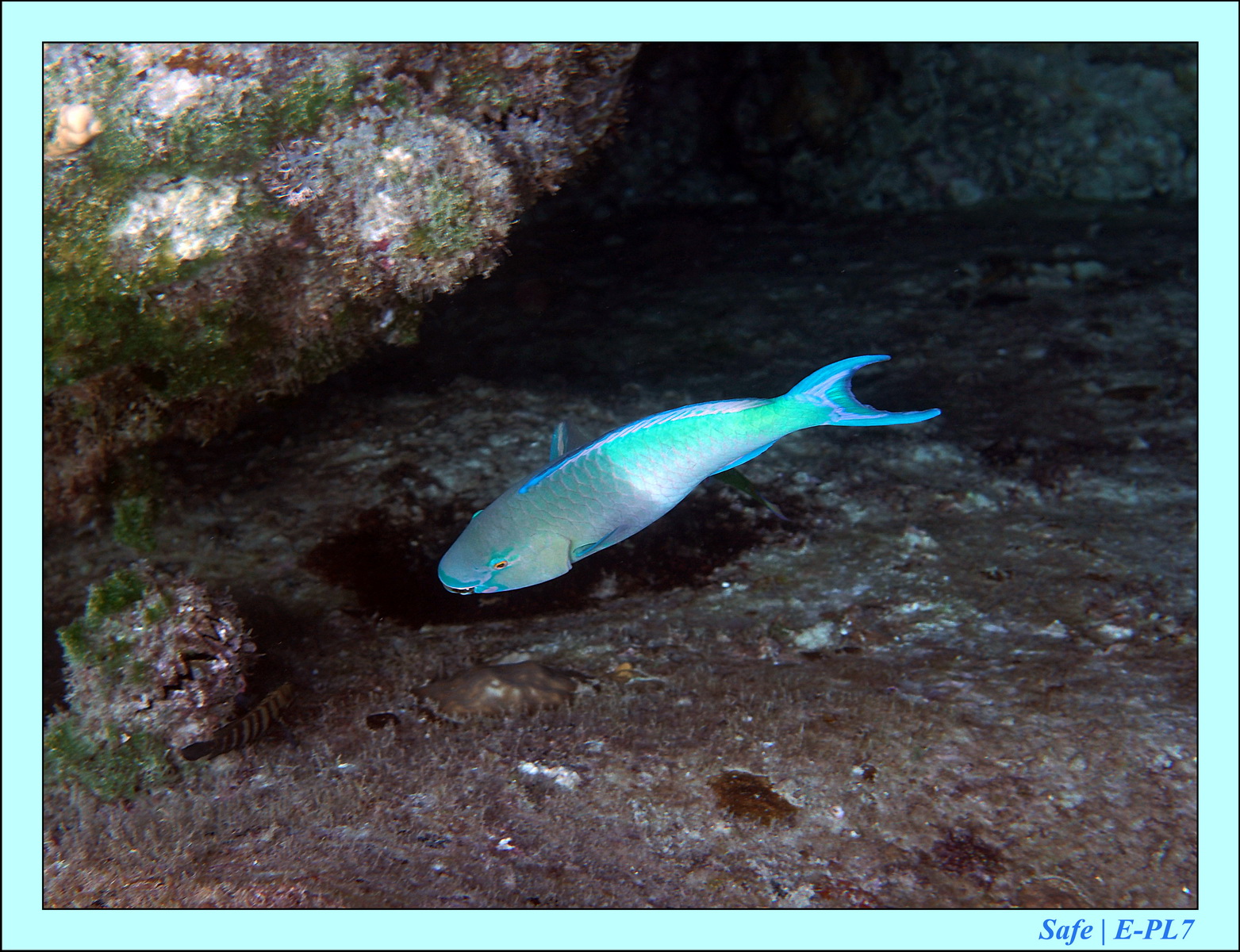 2016 - 07 - Leng Tengah - 053